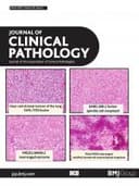 Journal of Clinical Pathology